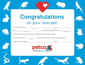 petco kids icon certificate