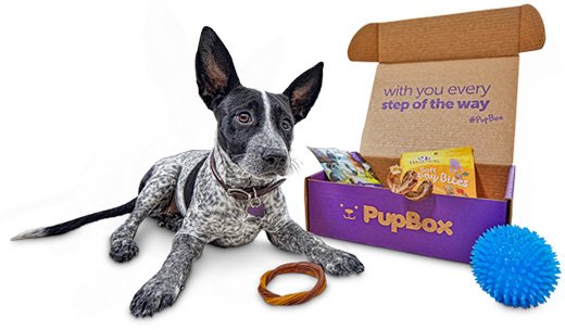 pupbox coupons