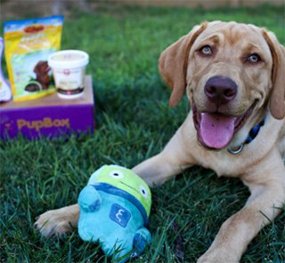 Petco pupbox shop