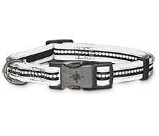 Dog Collars, Harnesses &amp; Leashes For All Sizes | Petco