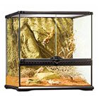 Reptile Store & Supply: Reptile Pet Shop & Supplies | Petco