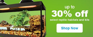 Reptile Store & Supply: Reptile Pet Shop & Supplies | Petco