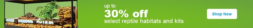 Reptile Store & Supply: Reptile Pet Shop & Supplies | Petco