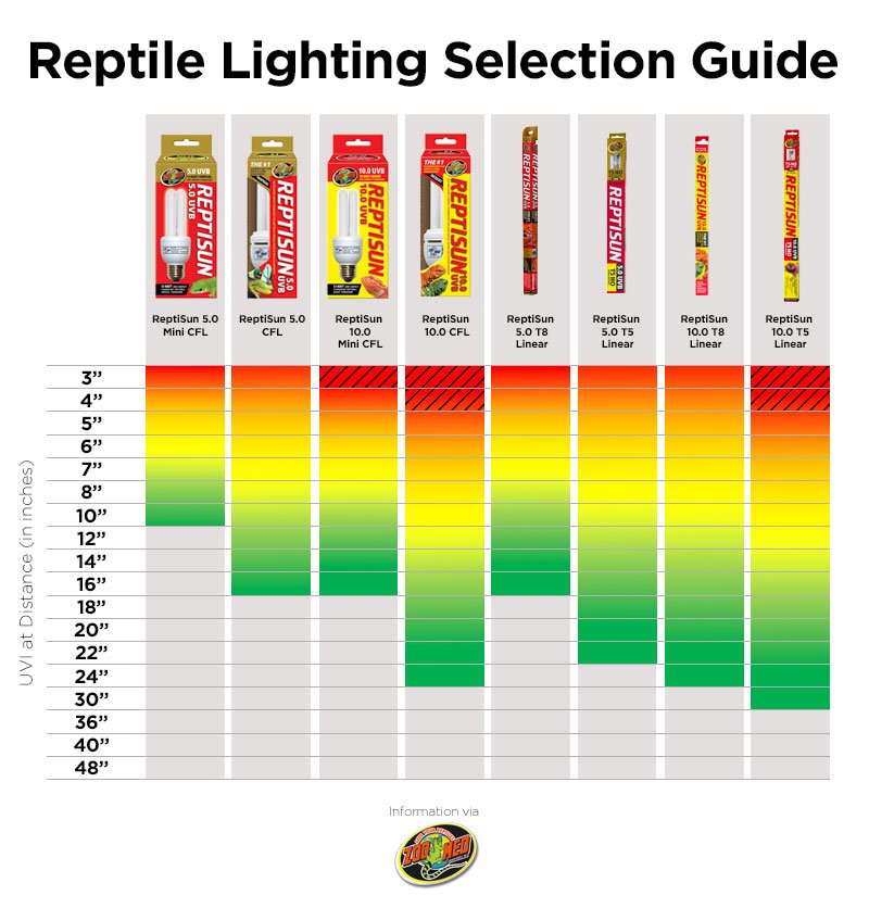 Reptile UVB Lighting Guide Petco