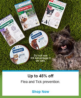 Up to 45% off flea and tick prevention - Shop Now