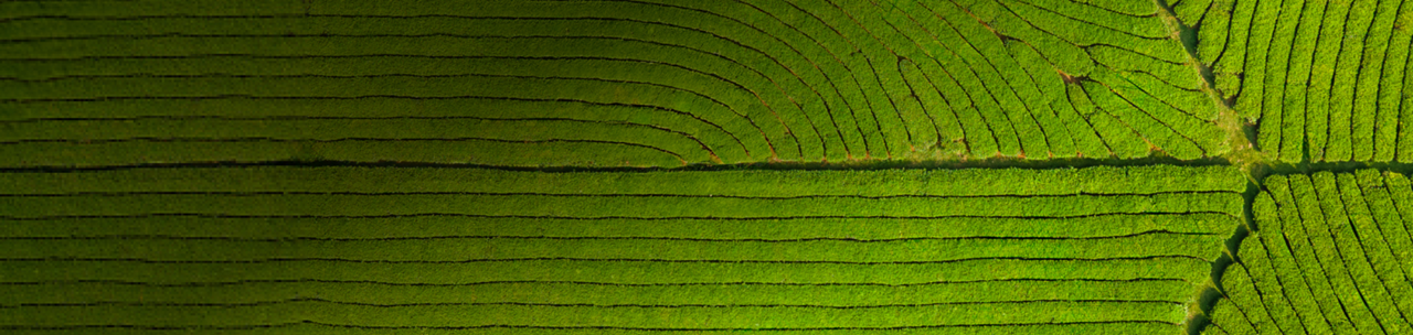 Powering The Growth Of Science-Based Climate Targets