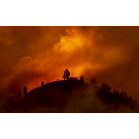 Community-based Catastrophe Insurance for Wildfire Risk