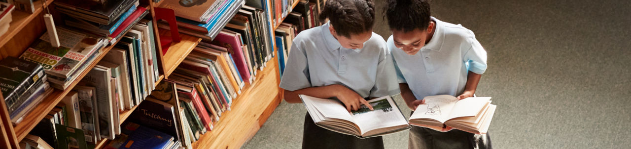 Girls reading books in a library