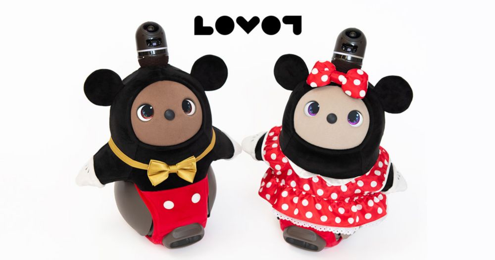 ディズニーコラボ LOVOTウエア ミッキー ミニー ラボット専用コスチューム