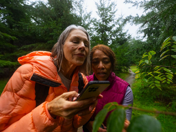 Two women in a forest clearing lean together to consult a smartphone.