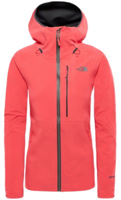 the north face women's apex flex gtx insulated jacket