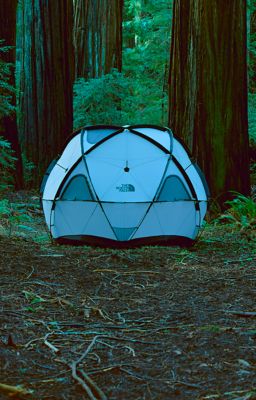 north face geodome 4 tent