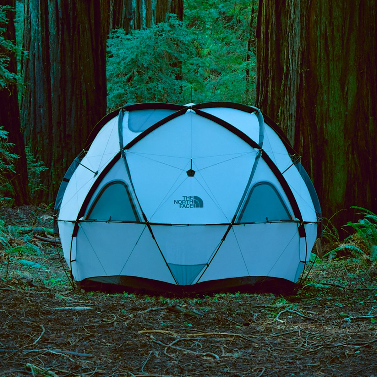 Camping in Yosemite with the Geodome 4 Tent from The North Face