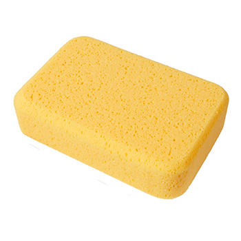 Image of Sponges