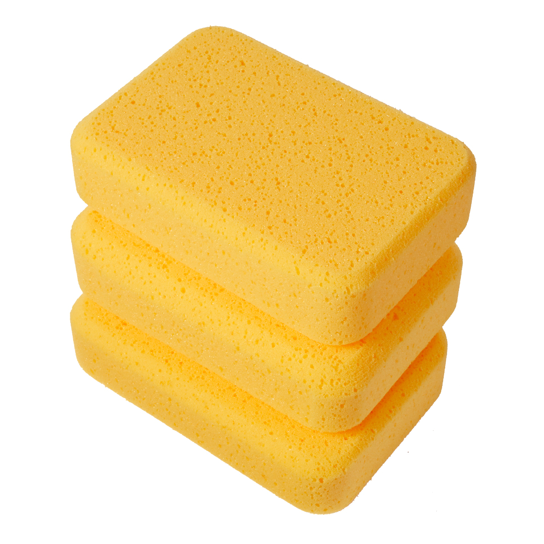 Pro Sponge (3-Pack)