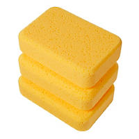 Thumbnail image of Pro Sponge (3-Pack)