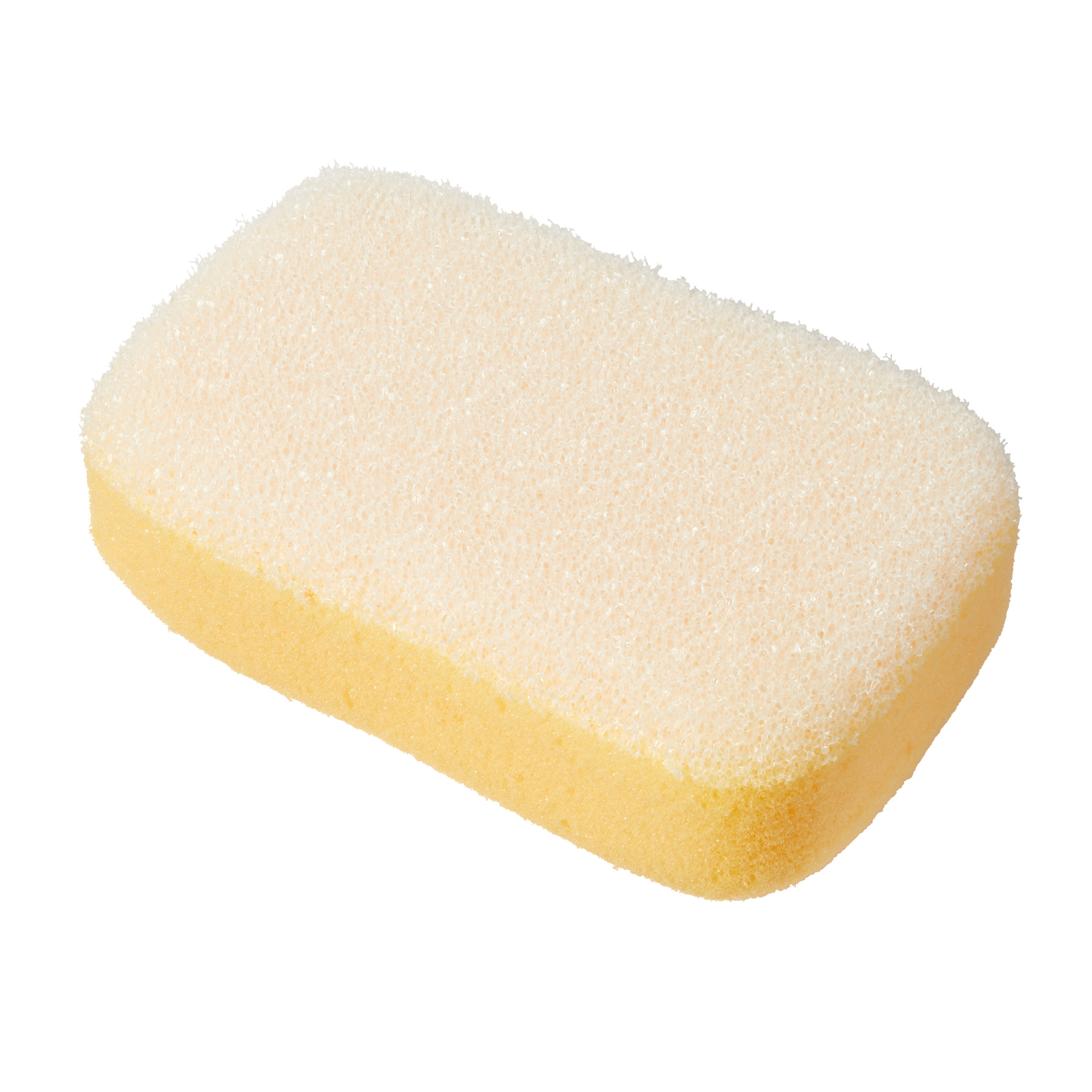 Sponge Scrubbing