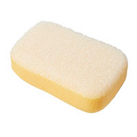 Thumbnail image of Sponge Scrubbing