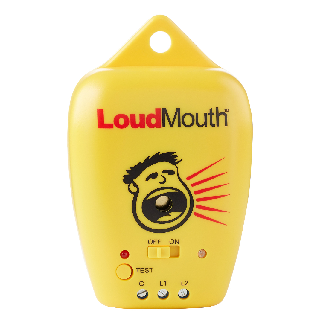 LoudMouth Installation Monitor