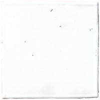 Thumbnail image of Zellige White Gloss (Z-02) 10x10