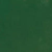 Color swatch Shamrock