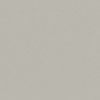 Color swatch Gris