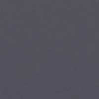 Color swatch Pewter
