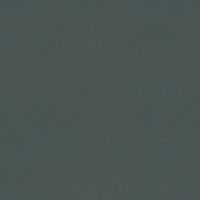 Color swatch Pewter