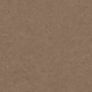 Color swatch Latte