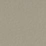 Color swatch Silver Cloud