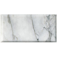 Thumbnail image of Ashford Carrara Pol Monterrey 7.5x15cm