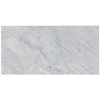 Thumbnail image of Firenze Carrara Pol 30x60cm
