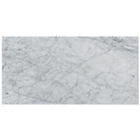 Thumbnail image of Firenze Carrara Hon 30x60cm