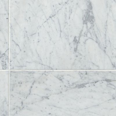 Carrara 18 in. x 18 in. Glazed Porcelain Floor and Wall Tile (352 sq.  ft./Pallet)