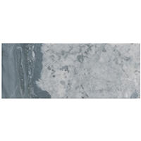 Thumbnail image of Roman Silver Hon 20x50cm