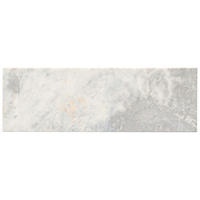 Thumbnail image of Siberian Pearl Brushed 10x30cm