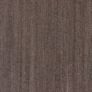 Color swatch Ceniza