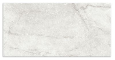 Centuries Pisa Porcelain Wall and Floor Tile - 12 x 24 in. - The Tile Shop