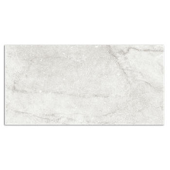 Centuries Pisa Porcelain Wall and Floor Tile - 12 x 24 in. - The Tile Shop