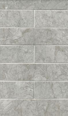 Aqua Grigio Polished Porcelain Wall and Floor Tile - 3 x 12 in.