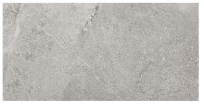 Walden Stone Grey Porcelain Wall and Floor Tile 12 x 24 in. The