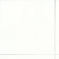 Thumbnail image of Colorgloss White 44x44cm