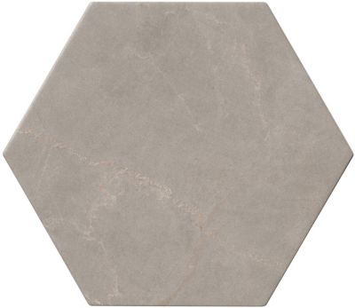 Pulpis Grey Hex Porcelain Wall And Floor Tile 10 In The Tile Shop