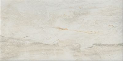 Alterra Bone Porcelain Wall and Floor Tile 12 x 24 in. The Tile Shop