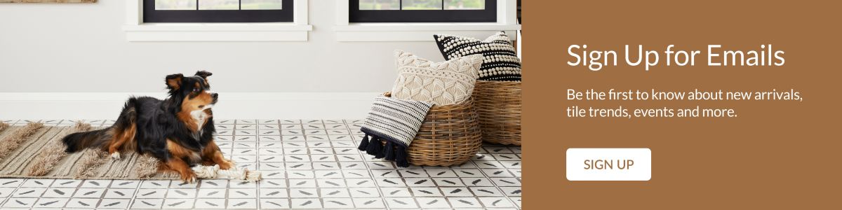 Sign up for Email and be the first to know about new arrivals, tile trends, events and more.  Picture of a dog laying on patterned porcelain floor tile in front of windows.