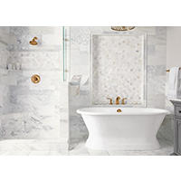 Thumbnail image of Italian marble has a polished finish and displays a cloudy white base with gold veining, providing these bathroom walls and floors with elegance.