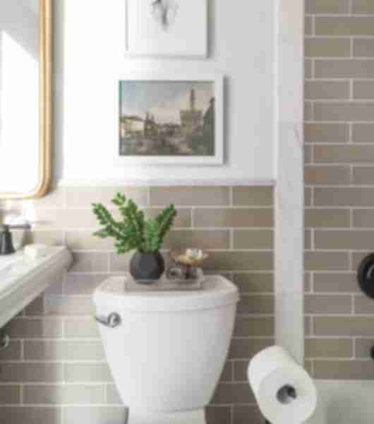 Toilet with plant. Wall with pictures and tan tile.