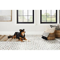 Thumbnail image of This patterned tile on the floor incorporates an Indonesian decorative design that lends a bohemian vibe. Whicker baskets, throw rug and a furry companion sit atop this tile.  