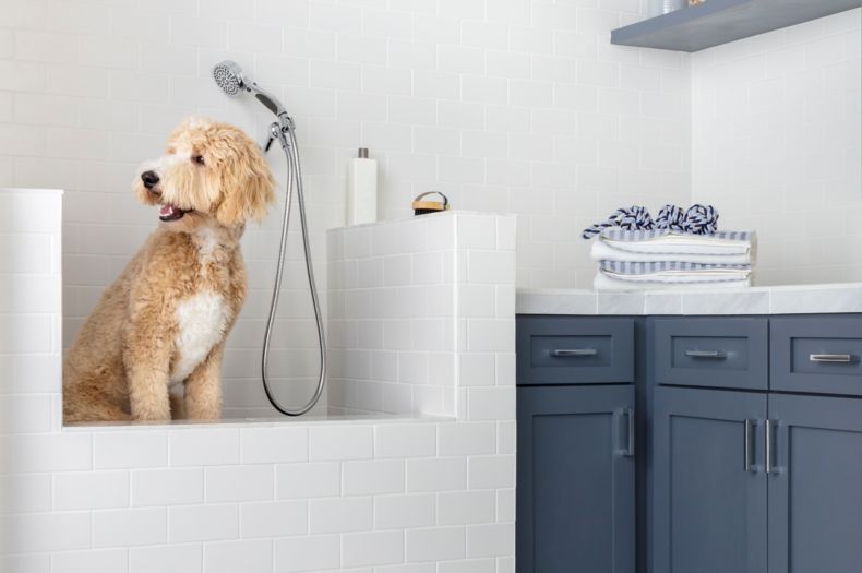 Dog washing station with white subway tile and grey concrete-look floor tile.