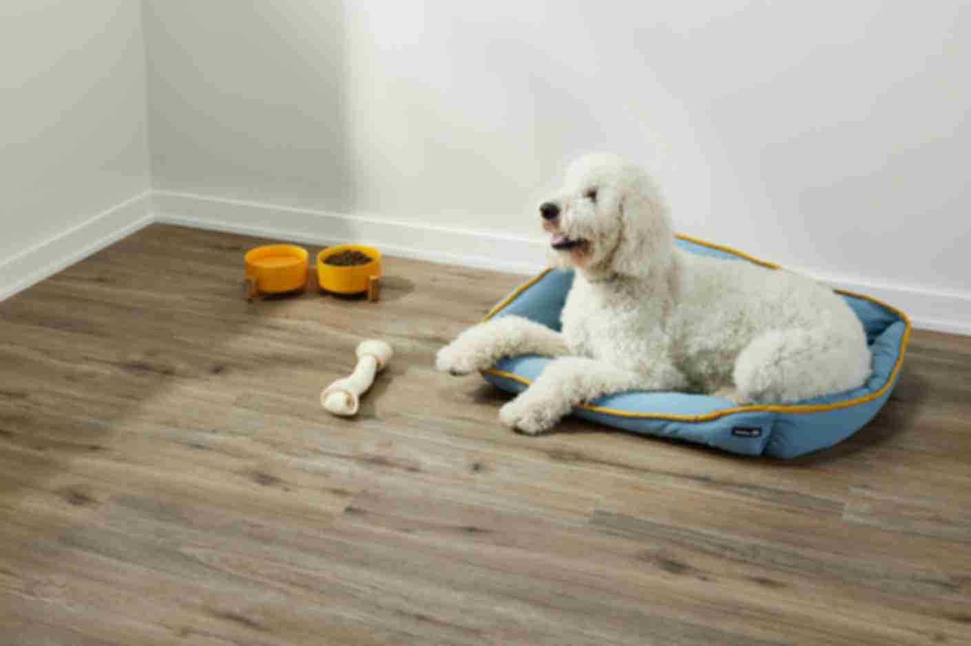 A large white dog rests on a blue dog bed, next to a bone and food and water bowls. The floor under the dog bed is covered in luxury vinyl wood-look planks.